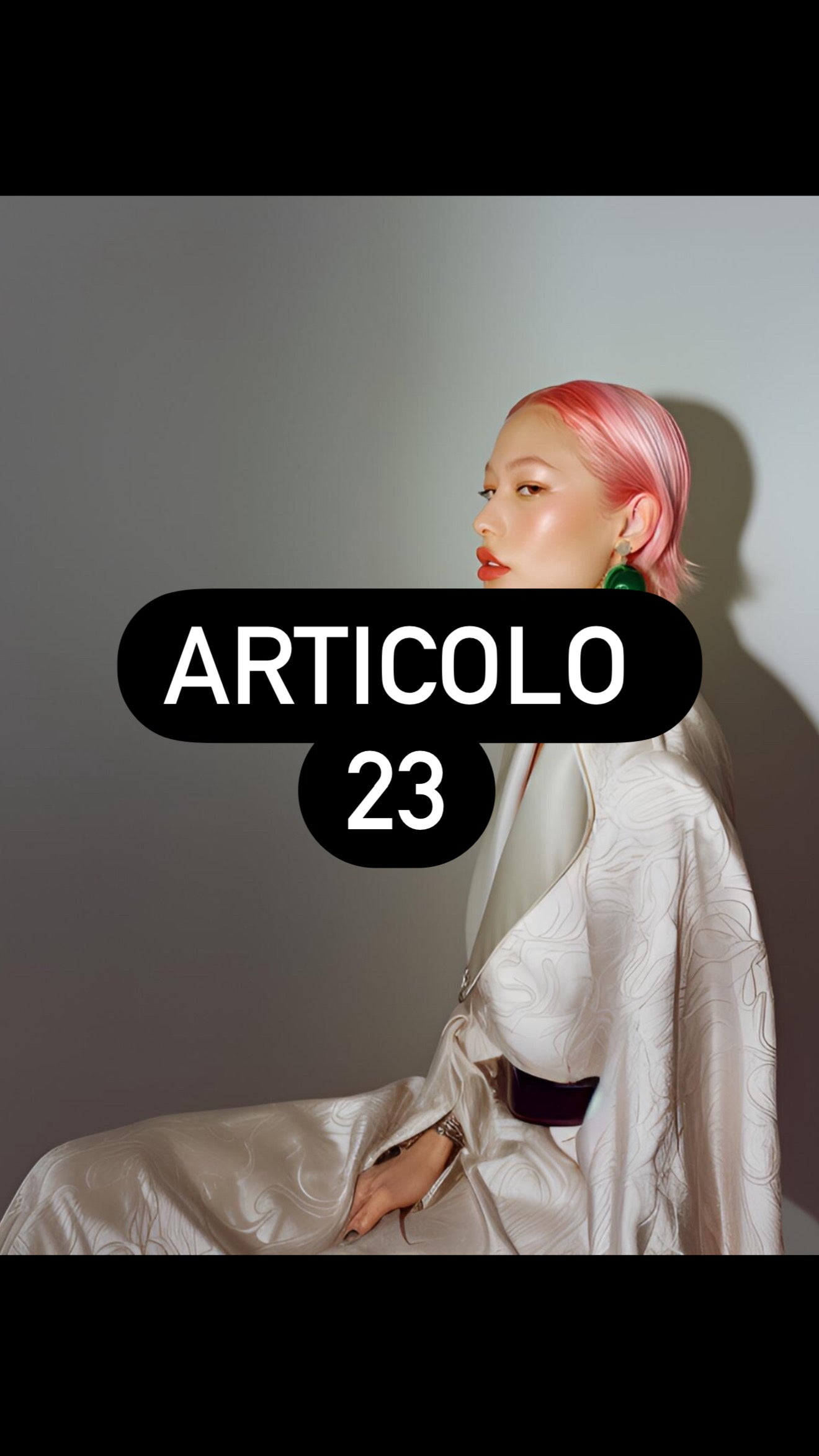Articolo 23 Live Shopping